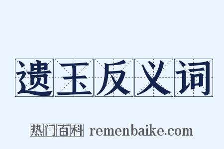 遗玉反义词是什么意思的图片